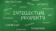 Germany intellectual property rights investigator